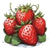 Strawberry - illustration