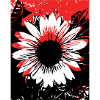 Sonnenblume