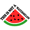 THIS IS NOT A WATERMELON