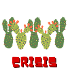 Merry Crisis