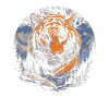 Majestic Tiger Wilderness Wild Powerful
