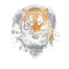 Majestic Tiger Wilderness Wild Powerful