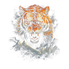 Tiger, Nature, Animals