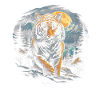 Tiger, Nature, Animals