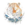 Tiger, Nature, Animals