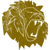 VUKA _ LION HEAD