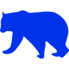 Bear 1