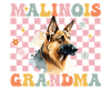 Groovy Belgian Malinois Dog