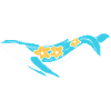 Schöner Narwhal Meeresbiologe