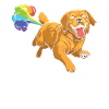 Golden Retriever Drôle Rainbow Pet