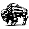 Bisonte americano | Bandiera USA street art