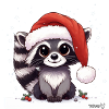 Raccoon Christmas