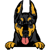 Doberman Majesty: Elegance in Strength
