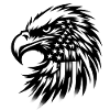 | American Football USA Flag