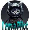 Chat pilote
