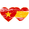 Vietnam Spain Flag Heart Used