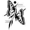Dovetail Butterfly