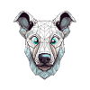blue Eyes dog