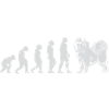 Évolution Samoyède