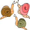 Snails