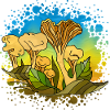 Fungi