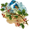 Bunter Vogel
