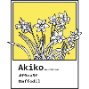 Daffodil Akiko