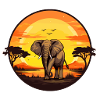 Soleil africain