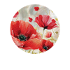 Poppy, Flora, Poppy, Floral, Poppy