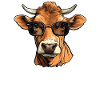 Dad Mom Sunglasses - Brown Swiss