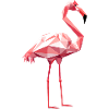 Flamingo in Geometric Style