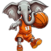 Basketball Elephant