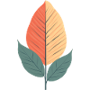 Minimalist Leaf