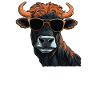 Dad Mom Sunglasses - Galloway