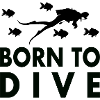 Diver Diving Saying Gift