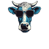 Dad Mom Sunglasses - Hereford