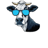 Daddy Mom Sunglasses - Holstein