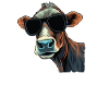 Dad Mom Sunglasses - Maine Anjou