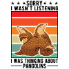 Pangolin Gift Pangolin
