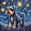 Schnauzer nain Nuit étoilée