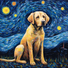 Labrador Starry Night