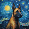 Malinois Starry Night
