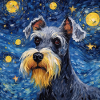 Schnauzer nain Nuit étoilée