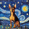 Pinscher nain Nuit étoilée