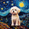 Maltese Starry Night