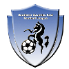 SCEFL Badge Design