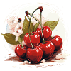 Cherry - illustration