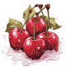 Cherry - illustration
