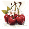 Cerisier - illustration