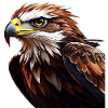 Powerful Eagle Head